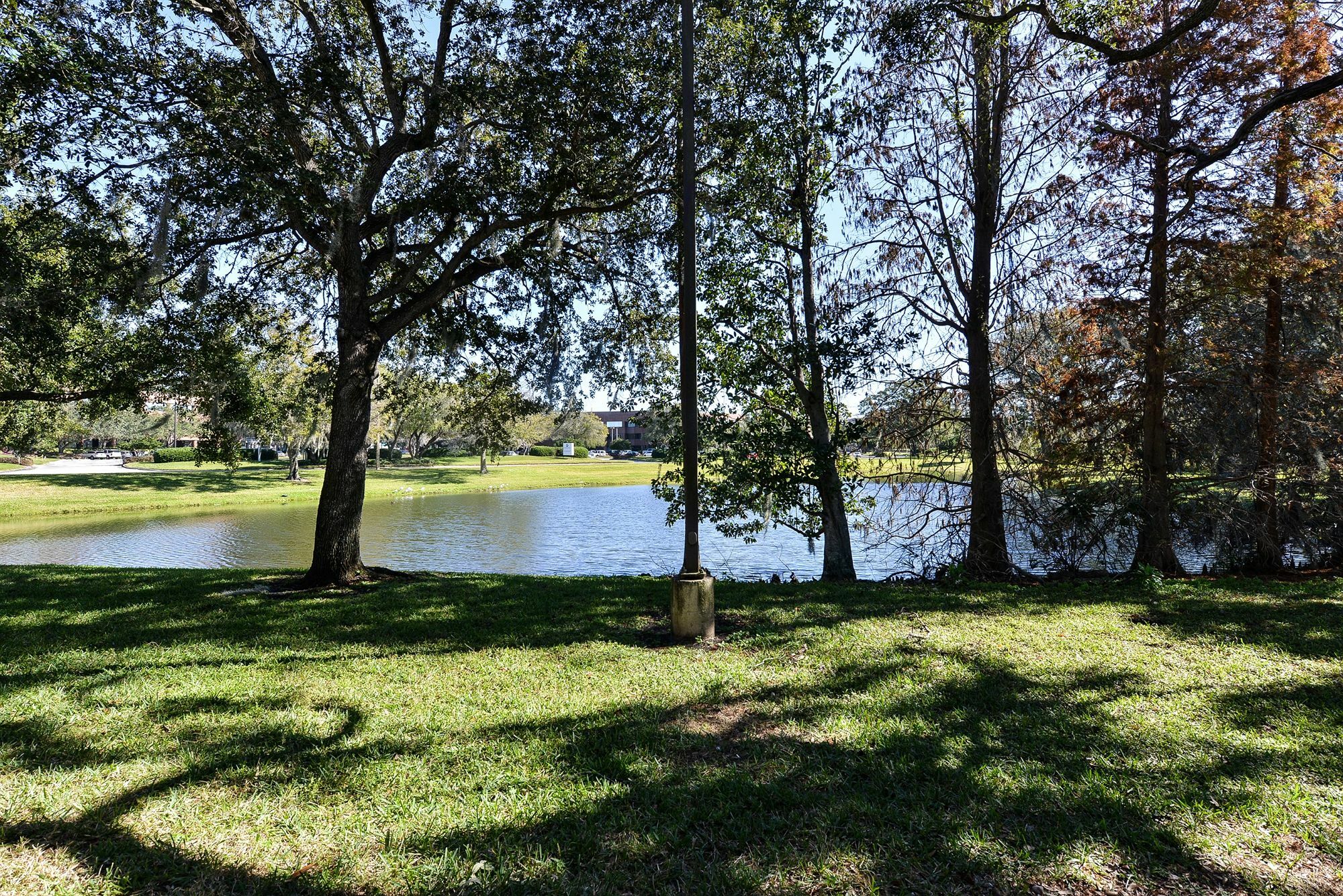 מלון Mango Clarion Pointe Tampa-Brandon Near Fairgrounds And Casino מראה חיצוני תמונה